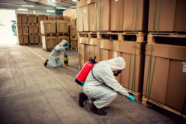 Pest Control Cost in Eagle River, WI