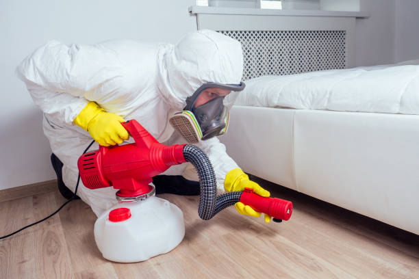 Best Cockroach Control Services  in Eagle River, WI