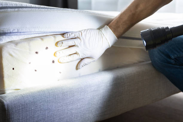 Pest Control for Restaurants in Eagle River, WI