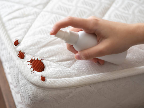  Eagle River, WI Pest Control Pros