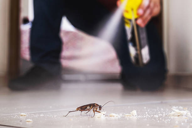 Insect Control in Eagle River, WI